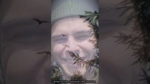 ЖУРАВЛИКИ .