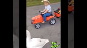 Видео от МЯУтаверс – как метавселенная, но с котами