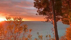 Россия.Краснодарский край.Туапсе.Чёрное море.Турагентство Coral Travel, Соколово-Мещерская-14.