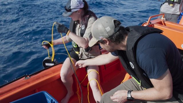 Покорители океана 1 серия «Царство горбачей» (документальный сериал, 2024)