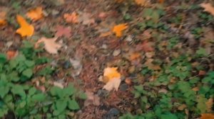 Трейлер номер 2 Андрей возвращение канала 2 PART