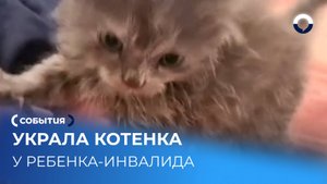 Неизвестная унесла котенка у ребенка во дворе