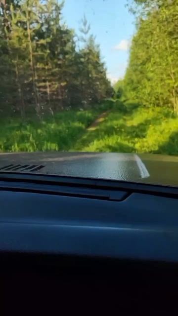 В соседнюю деревню.