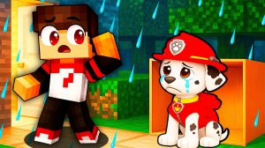 МАРШАЛА ВЫГНАЛИ из ЩЕНЯЧЬЕГО ПАТРУЛЯ и ЕГО ПРИЮТИЛ В МАЙНКРАФТЕ