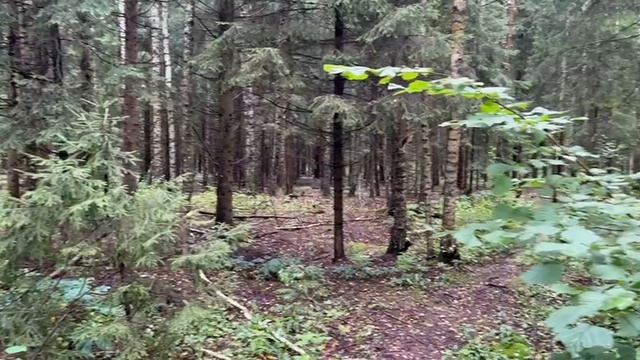 г. Кубинка ш. Наро-Фоминское