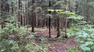 г. Кубинка, ш. Наро-Фоминское