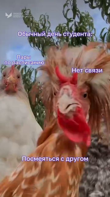 Когда появился Wi-Fi