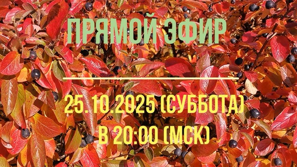 Анонс эфира 25.10.2025