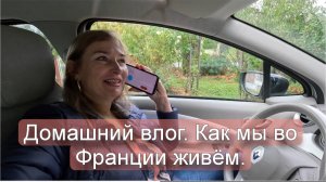 Кастрировали кота. Барбекю с друзьями.
