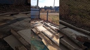 осенний обор моего участка