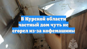 В Курской области частный дом чуть не сгорел из-за кофемашины