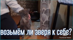 Каток состоялся