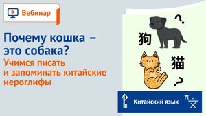 Почему кошка – это собака? Учимся писать и запоминать китайские иероглифы