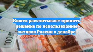 Кошта рассчитывает принять решение по использованию активов России в декабре