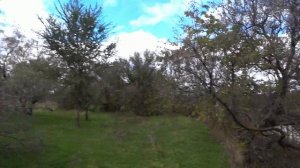 Рыбалка! На хищника!