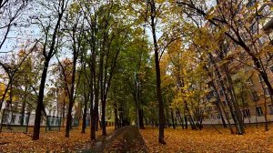 ДВОРЫ МОСКВЫ ОСЕНЬЮ. ПРОГУЛКА ПО ГОРОДУ. Часть 4.