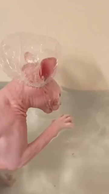 Правой- левой, правой-левой, вот и финиш впереди!