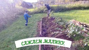 Сердце дома забилось. Сажаем малину.