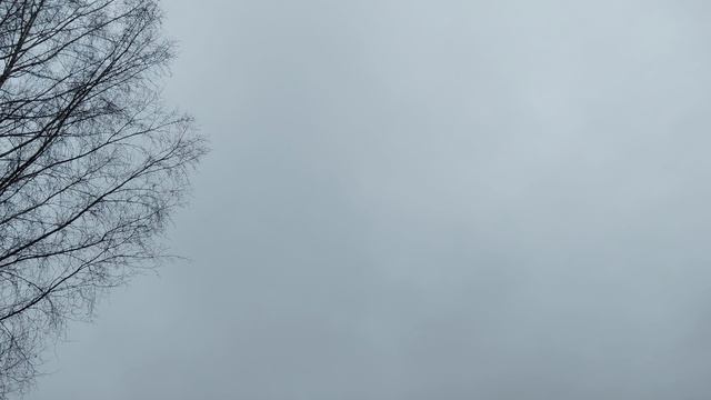 Большое приключение 23 октября 2025г - за 2 часа 7,30 км смотреть онлайн