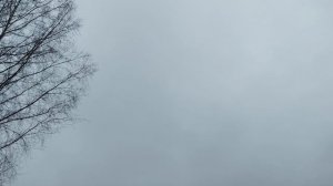 Большое приключение 23 октября 2025г - за 2 часа 7,30 км