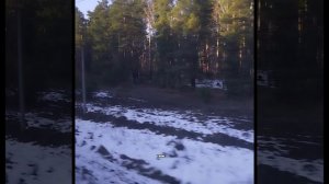 мудрость жизни