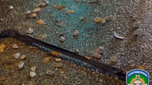 ДТП с легковушкой и трактором в Казани