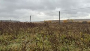 д. Свистягино