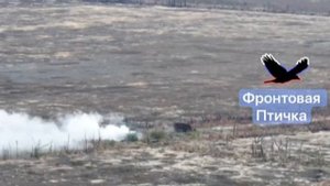Штурм российскими подразделениями Малой Токмачки.