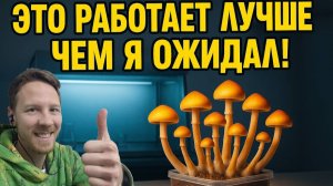 ЛАМИНАР ЗА 2 МИНУТЫ! ПЛЕСЕНЬ, ДАВАЙ ДО СВИДАНИЯ!