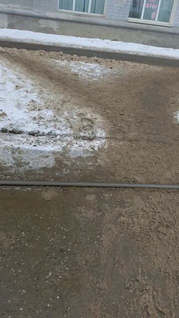 №177. ул. Белинского. 28 февраля 2025 г., 15:10:39. VID_20250228_150945820