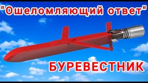 Буревестник. "Ошеломляющий ответ"