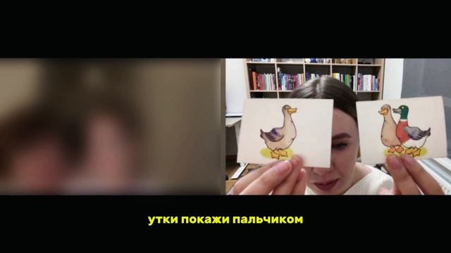 Сенсомоторная алалия в 3,7 года. Симптомы и прогресс от ОНР-1 до ОНР-3 за 1 год. смотреть онлайн