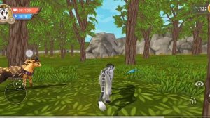 Продолжение