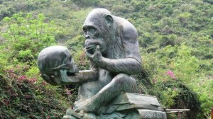 Китай в объективе русского туриста