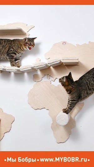 Карта мира от Мы Бобры - это хит продаж !