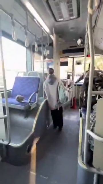 В связи с похолоданием голуби Владивостока перешли на наземный транспорт смотреть онлайн