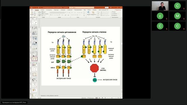 1 гр Агрономия и селекция в области растениеводства ТГУ 23.10.2025 Генетика селекция и семеноводство