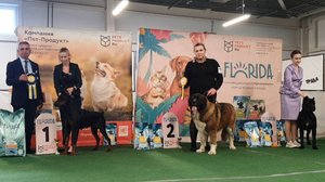 28.09.2025, СПб. Клуб "Северная Пальмира" (РКФ, РФСС). Выставка собак САС 2 группы FCI
