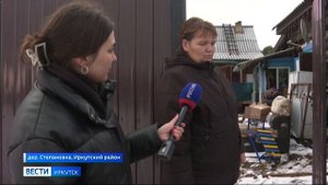 Детский смех и скулящая собака. Дети в Иркутском районе издевались над животными
