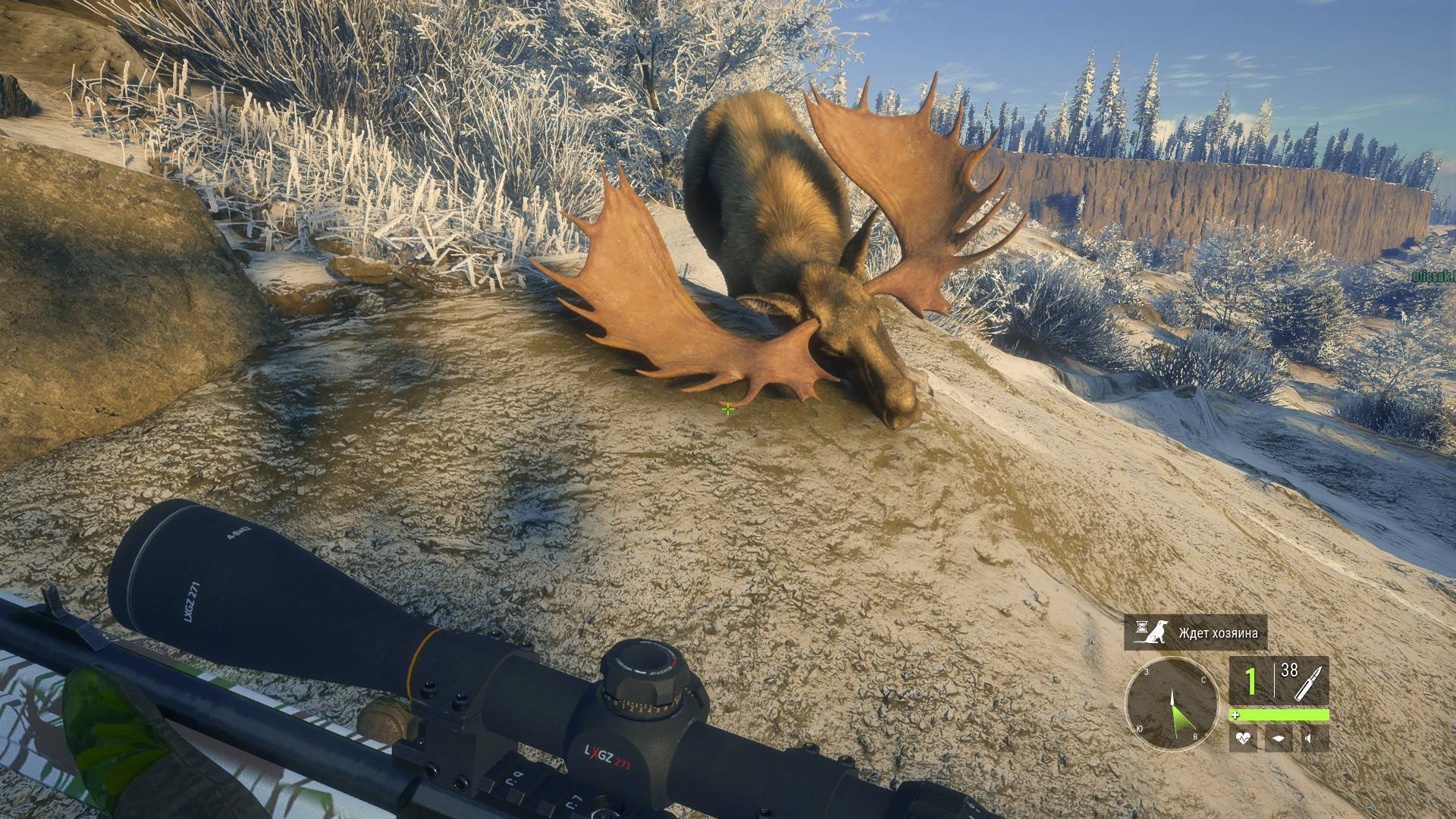 theHunter- Call of the Wild™ № 2