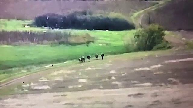 Аннигиляция группы ВСУшников