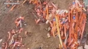 Задержан руководитель фирмы, устроившей свалку на знаменитом Невском пятачке / События на ТВЦ