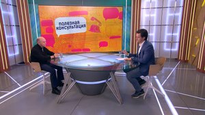 Собачий холод: как позаботиться о здоровье питомцев хмурой осенью. Консультация ветеринара
