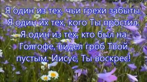 Я один из тех,кого Ты заметил (караоке)