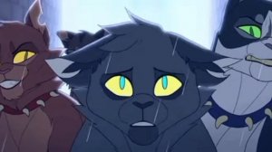 коты воители лучший город название фил инвисибыл