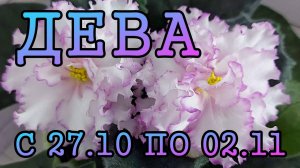 ДЕВА таро прогноз на неделю с 27 ОКТЯБРЯ по 2 НОЯБРЯ 2025 года.