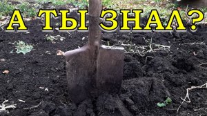ЭТИ органические удобрения вносят ОСЕНЬЮ (периодичность, норма)