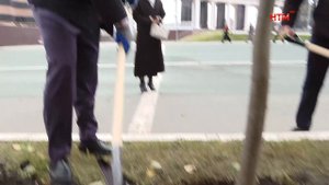 Мэры городов ПФО посадили в Саранске Аллею городов Поволжья