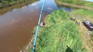 В поисках сазана. Рыбалка на соски и фидер. Обкатал мотор KAMISU.