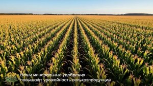 Имиджевое видео о продуктах компании